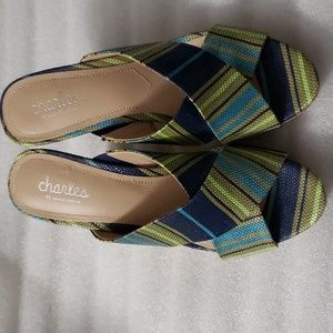 Charles David Blue/Green Platform Sandals